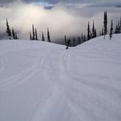 James Carter's photo