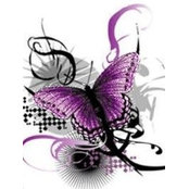 Dawn DeFrancesco's photo