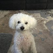 Debra Withers's photo
