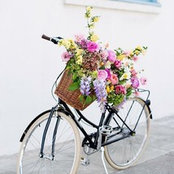 Angelique Blake's photo