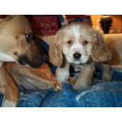 Linda Panzer's photo