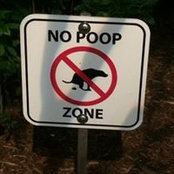 Chris Daigle's photo