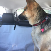 amanda .'s photo