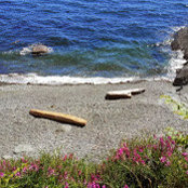 Foto von Erin Kensicki