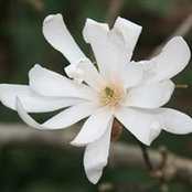 Diane Helms's photo