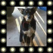 Barbara Wagoner Brown's photo