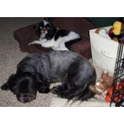 Betty Stivers's photo