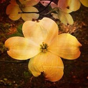 Stefanie Foster's photo