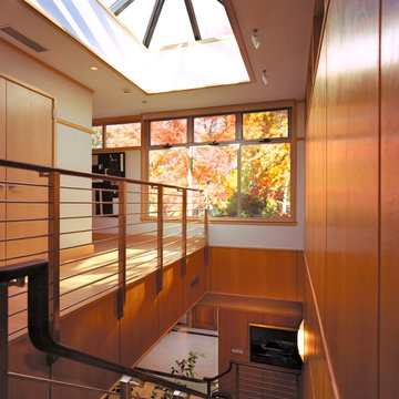 Modern House in Connecticut