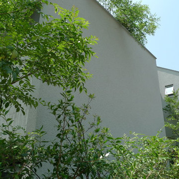 下北沢の庭