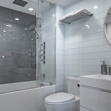 Elizabeth St. Remodel
