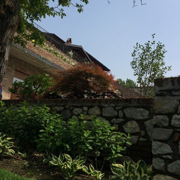 TERRAZZE TRA LE VIGNE
