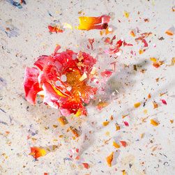 Boiling Crash Flower series - Photographs