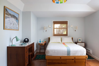 Mid-sized 1960s guest medium tone wood floor bedroom photo in San Francisco with blue walls and no fireplace