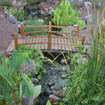 Johnson Residence Backyard Ecosystem Pond in Glendale, AZ