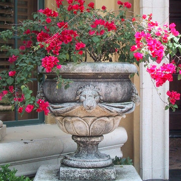 Residential Landscapes