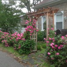 outdoor spaces