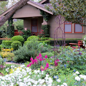 Zero Lawn Xeriscape - Return of the Native