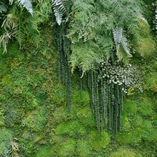 living wall