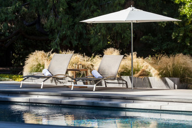 Inspiration for a contemporary rectangular pool remodel in San Francisco