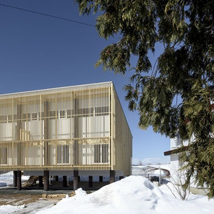 札幌の和風のおしゃれな家の外観 (混合材サイディング、片流れ屋根、戸建、金属屋根) の写真