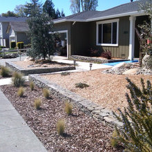 front yard