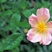 Kaitlin Torney's photo