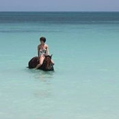 Laura Bradley's photo