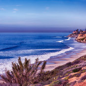George Cacioppo's photo