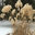 Natural Landscape Designs