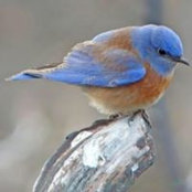 Boni Ortiz's photo