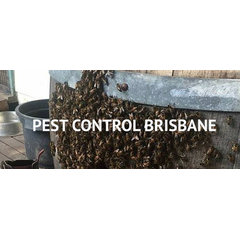 Impressive Pest Control Upper Lockyer