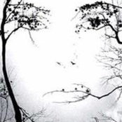 Alison Anway's photo
