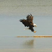 Diane DeTemple's photo