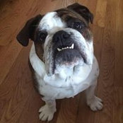 Kim Barrick Bowman's photo