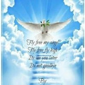 Cathy Davis's photo