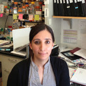 Photo de Shailja Pathania