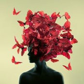 Florie-Anne Henry's photo