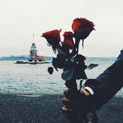 Ayah El-Turkey's photo