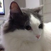 Lina Tirado B's photo
