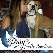 Michelle Hickman's photo
