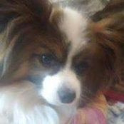 Maryellen Eldredge's photo