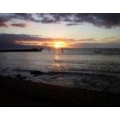 Roberta Lerner's photo