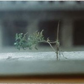Thảo Lê's photo