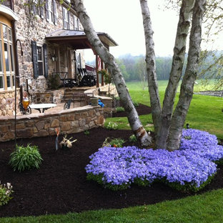 Creeping Phlox | Houzz