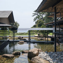 Landscaping Ideas