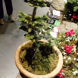 Gardens & Plantings - Outdoor Pots And Planters