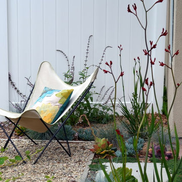 San Clemente Hummingbird Garden