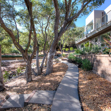Round Hill Road Residence: A New Custom Home in Tiburon, CA
