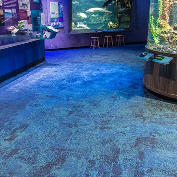 ECHO Science Center